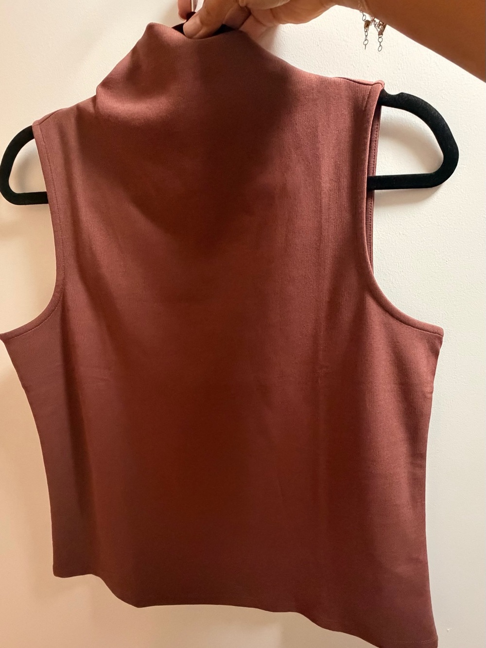 Ann Taylor Factory Sleeveless Mock Neck Tank in Brick